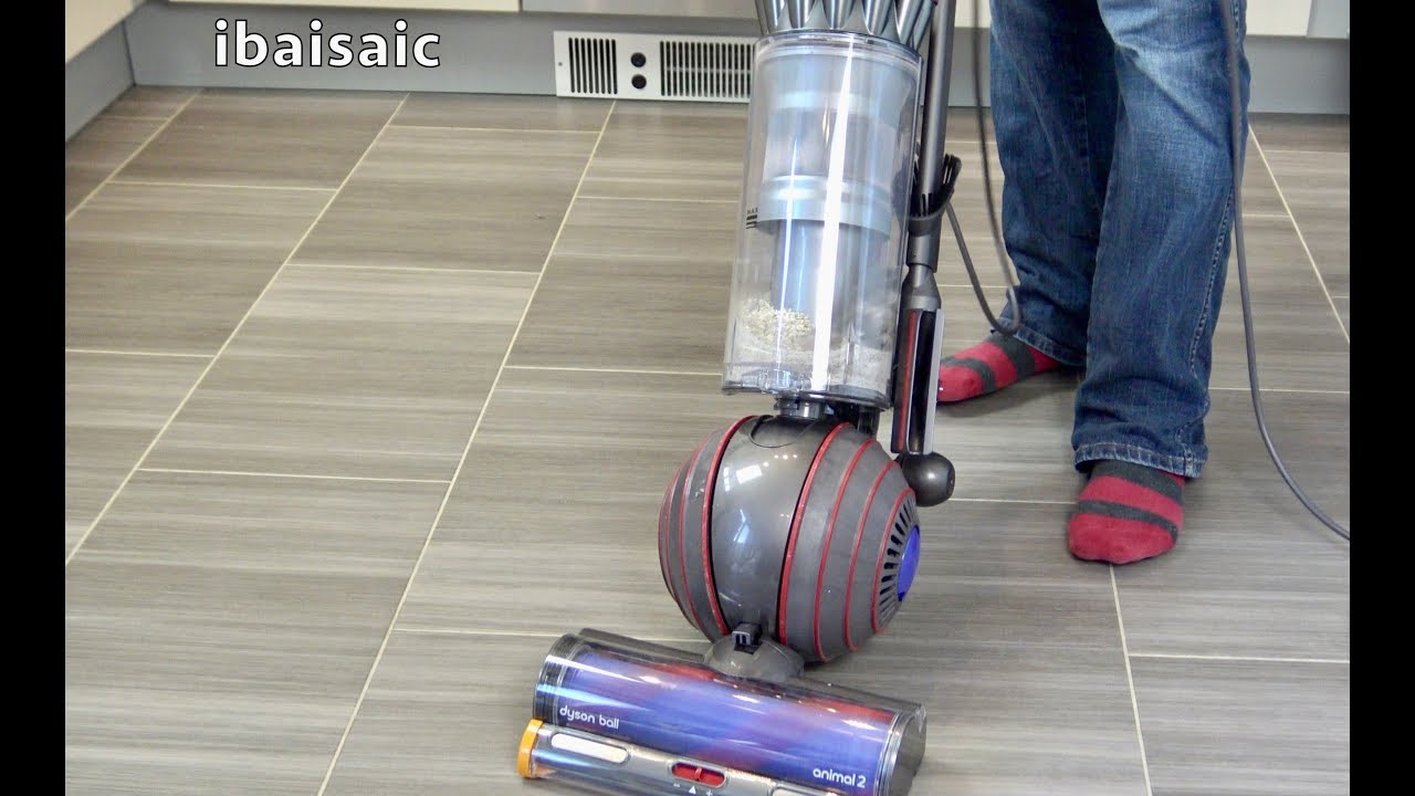 manual for dyson animal 2